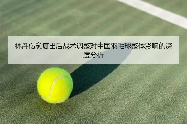 lin-dan-shang-yu-fu-chu-hou-zhan-shu-tiao-zheng-dui-zhong-guo-yu-mao-qiu-zheng-ti-ying-xiang-de-shen-du-fen-xi-2-632.jpg